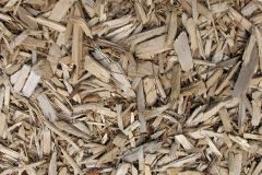 biomass boilers Yardley Wood